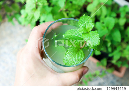 Mojito or cocktail ,mocktail or lime juice or lemon juice, lemon soda or tonic or soda and peppermint leaf Mojito or cocktail ,mocktail or lime juice or lemon juice, lemon soda or tonic or soda and peppermint leaf 129945639