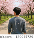 Back view of a man walking along a row of cherry blossom trees 129945729