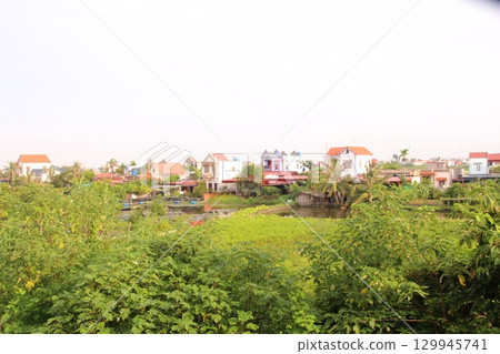 Rice fields in Vietnam. There are green rice fields in the field. Farmers work on them. In the background are villages and country roads Rice fields in Vietnam. There are green rice fields in the field. Farmers work on them. In the background are villages and country roads 129945741