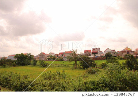 Rice fields in Vietnam. There are green rice fields in the field. Farmers work on them. In the background are villages and country roads Rice fields in Vietnam. There are green rice fields in the field. Farmers work on them. In the background are villages and country roads 129945767