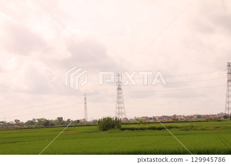 Rice fields in Vietnam. There are green rice fields in the field. Farmers work on them. In the background are villages and country roads Rice fields in Vietnam. There are green rice fields in the field. Farmers work on them. In the background are villages and country roads 129945786