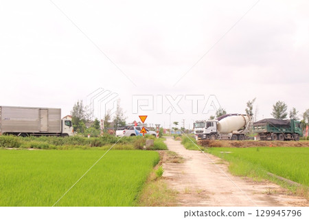 Rice fields in Vietnam. There are green rice fields in the field. Farmers work on them. In the background are villages and country roads Rice fields in Vietnam. There are green rice fields in the field. Farmers work on them. In the background are villages and country roads 129945796