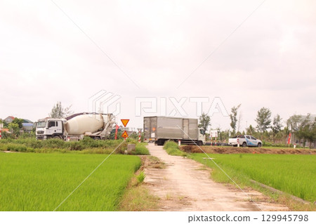 Rice fields in Vietnam. There are green rice fields in the field. Farmers work on them. In the background are villages and country roads Rice fields in Vietnam. There are green rice fields in the field. Farmers work on them. In the background are villages and country roads 129945798