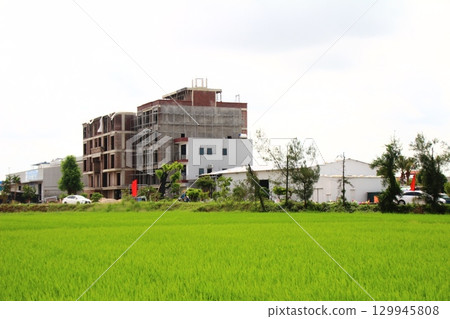 Rice fields in Vietnam. There are green rice fields in the field. Farmers work on them. In the background are villages and country roads Rice fields in Vietnam. There are green rice fields in the field. Farmers work on them. In the background are villages and country roads 129945808