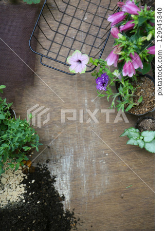 Summer planting steps 129945840