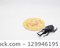Beetle and straw hat 129946195