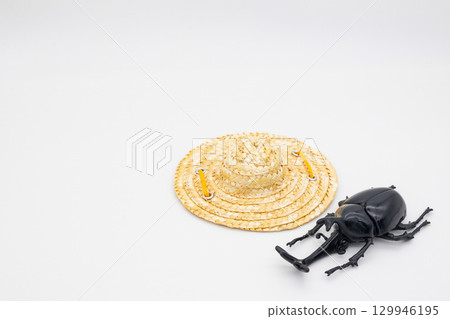Beetle and straw hat 129946195