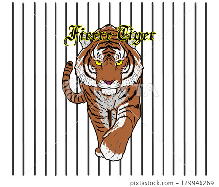 一隻老虎 一隻老虎 129946269