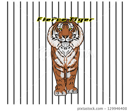 A tiger A tiger 129946408