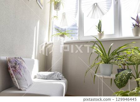 Cozy balcony designed in light tones with house pot plants 129946445