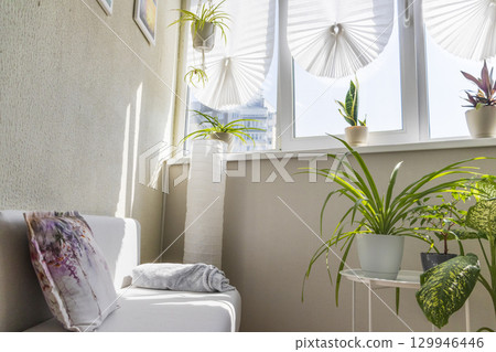 Cozy balcony designed in light tones with house pot plants 129946446