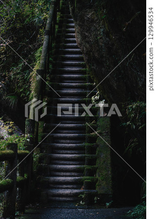 山路上長滿青苔的木樓梯 129946534