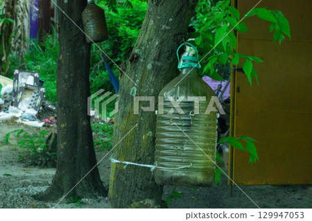 Outdoor scene of drinking water from a bottle hanging on a tree Outdoor scene of drinking water from a bottle hanging on a tree 129947053