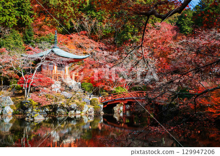 Pavilion pagoda and bridge in Diagoji temple in fall season, Kyoto 129947206