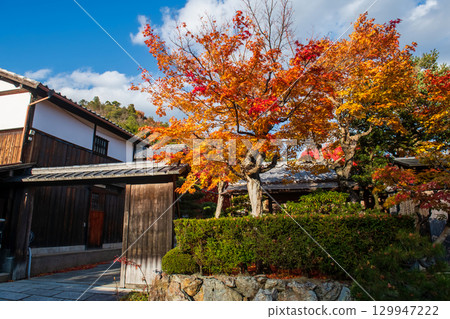 Japanese ryokan with autumn maple foliage colors, Arashiyama, Kyoto 129947222