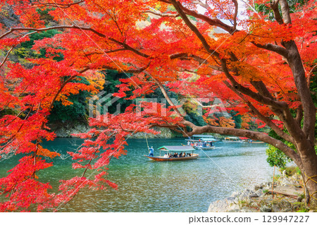 Boatman punt wooden tourist boat along Arashiyama river in autumn 129947227