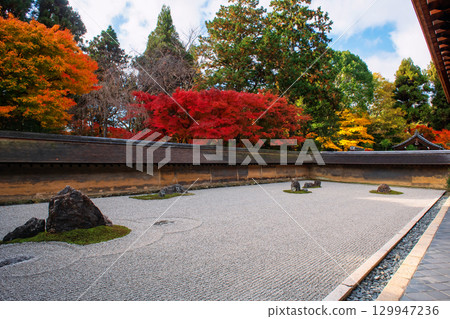 Rock garden and autumn maple leaf colors at Ryoan-ji temple, Kyoto Rock garden and autumn maple leaf colors at Ryoan-ji temple, Kyoto 129947236