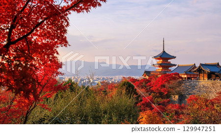 Kiyomizu dera temple with maple autumn leaf colors at sunset,Kyoto 129947251