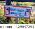 Bear appearing attention signboard 129947293