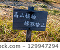 Alpine plant collection prohibited sign 129947294