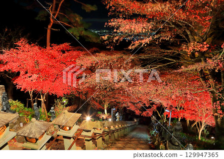 [Kanagawa Prefecture] Autumn leaves illumination at Daisenji Temple 129947365