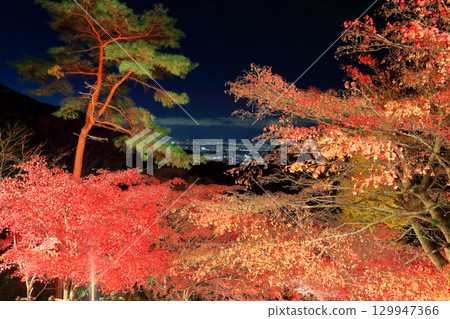 [Kanagawa Prefecture] Autumn leaves illuminated at Daisenji Temple and the view of Shonan 129947366