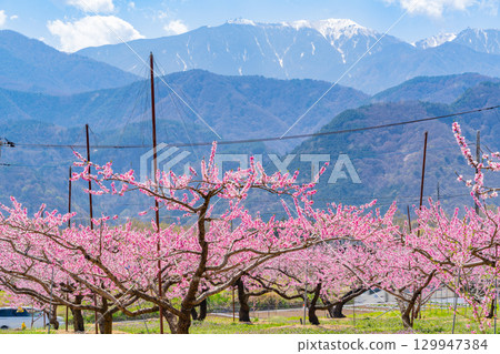 【山梨縣韭崎市】以南阿爾卑斯山為背景的“新風香格里拉” 129947384