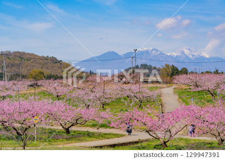 【山梨縣韭崎市】以八岳為背景的信風香格里拉 129947391
