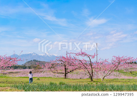 【山梨縣韭崎市】以八岳為背景的信風香格里拉 【山梨縣韭崎市】以八岳為背景的信風香格里拉 129947395