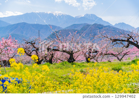 【山梨縣韭崎市】以南阿爾卑斯山為背景的“新風香格里拉” 129947402
