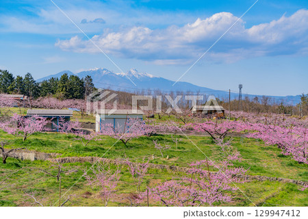【山梨縣韭崎市】以八岳為背景的信風香格里拉 129947412