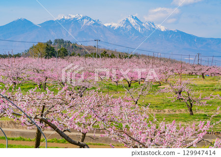 【山梨縣韭崎市】以八岳為背景的信風香格里拉 【山梨縣韭崎市】以八岳為背景的信風香格里拉 129947414