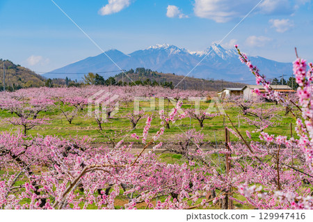 【山梨縣韭崎市】以八岳為背景的信風香格里拉 129947416
