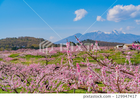 【山梨縣韭崎市】以八岳為背景的信風香格里拉 129947417