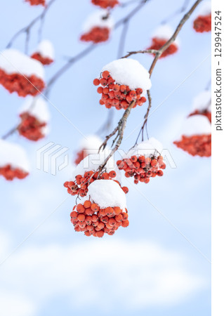 Rowan Makomanai Park Sapporo 129947524