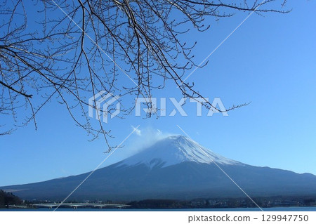 Spring is almost here, Mount Fuji at Lake Kawaguchi 129947750