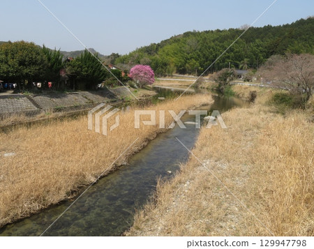 福岡縣宮古町原井川 福岡縣宮古町原井川 129947798