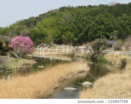 Haraigawa, Miyako Town, Fukuoka Prefecture Haraigawa, Miyako Town, Fukuoka Prefecture 129947799