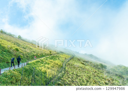 Sekigahara Town, Gifu Prefecture: The hiking trail from the Ibukiyama Driveway parking lot to the summit 129947986