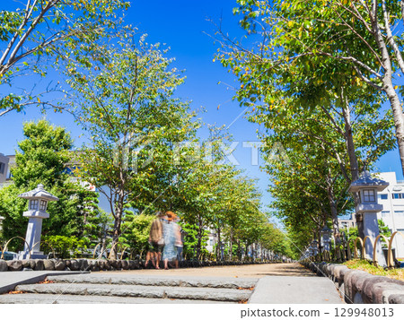 鎌倉的夏天：通往鶴岡八幡宮的壇角小徑 129948013
