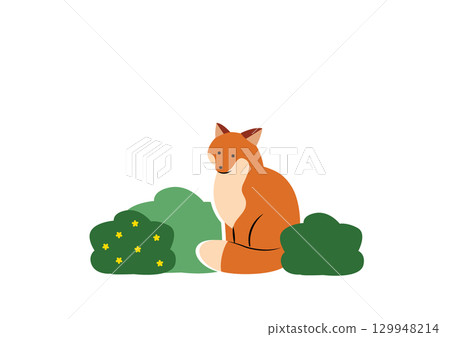 一隻紅狐狸坐在灌木叢旁 129948214