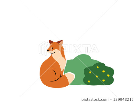 一隻紅狐狸坐在灌木叢旁 129948215