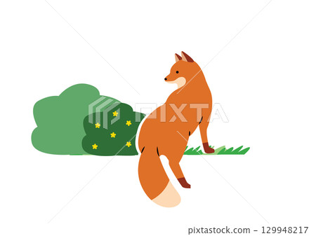 可愛狐狸的背影 129948217