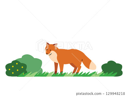可愛的狐狸插畫 129948218