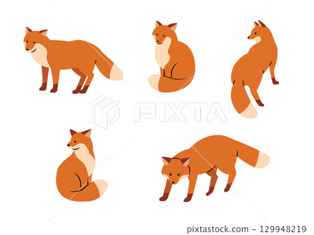 可愛的狐狸插圖集 可愛的狐狸插圖集 129948219