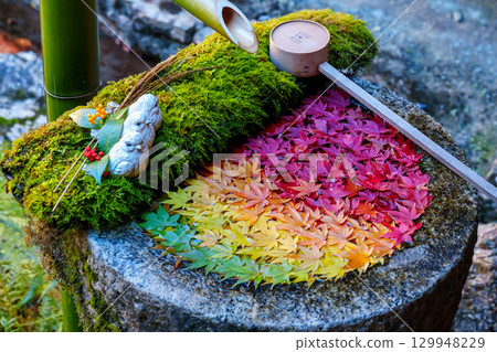 筑波湖中飄浮的秋葉的層次 129948229