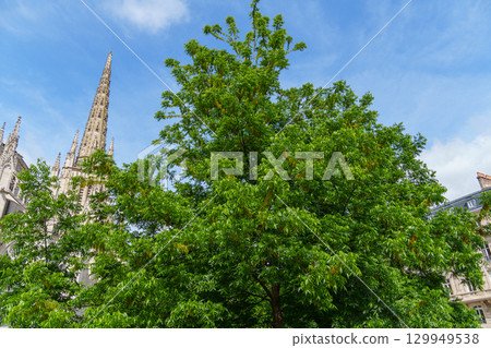 the city of Bordeaux at the garonne river in france the city of Bordeaux at the garonne river in france 129949538
