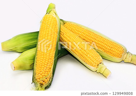 玉米(Wakuwaku 玉米) 玉米(Wakuwaku 玉米) 129949808