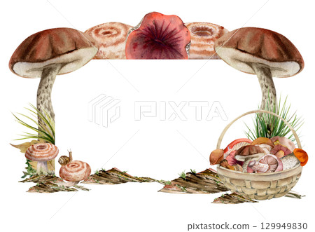 Basket of picked mushrooms on bark with moss lichen growth, horsetail stalks. Copy space frame hand drawn in watercolor. Bolete russula milk-cap fungi forest harvest, raw ingredient for vegan cooking. 129949830