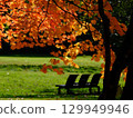 真駒內公園的紅葉 129949946